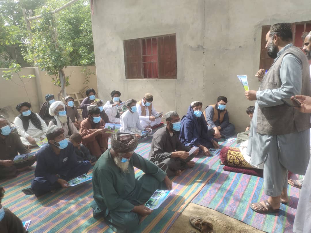 هلمند کې د مالدارانو د مالونو د وړیو پېرلو مراکز جوړ او  په کارونو یې پیل کړي