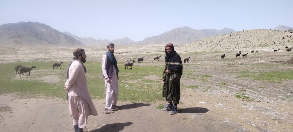 آگاهی دهی به کوچی‌های کابل در مورد حفاظت از علفچرها 