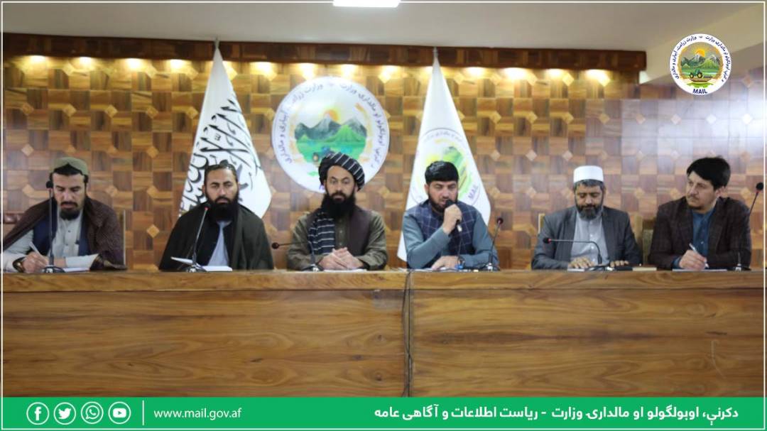 جلسه هماهنگی وزارت زراعت با مسوولان اتحادیه مرغداری برگزار شد
