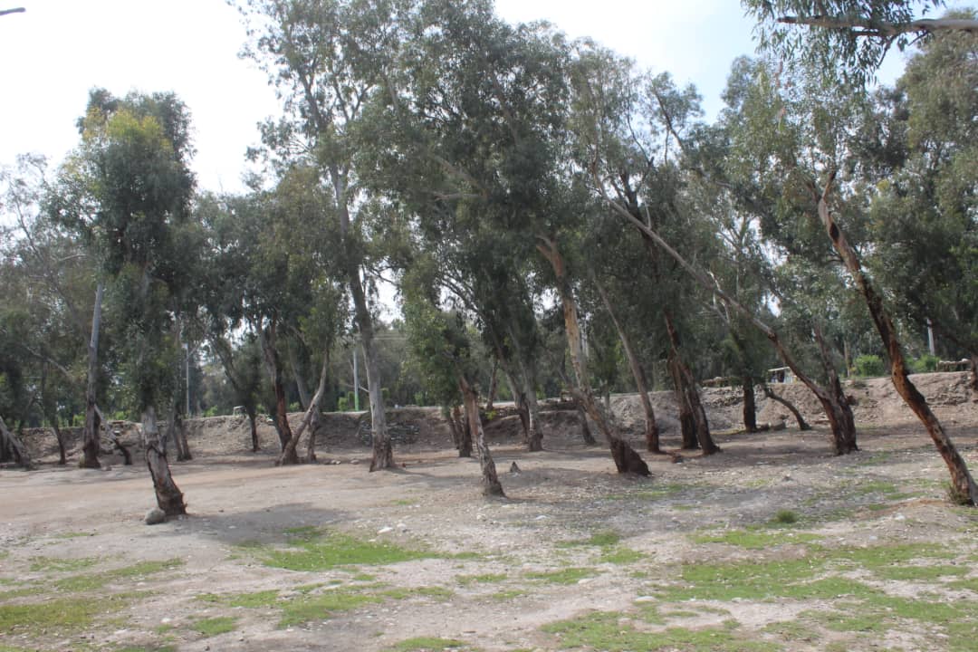 د ننګرهار کانال ریاست: د سیند غاړې حلقوي سړک د چارو ارزونه وشوه