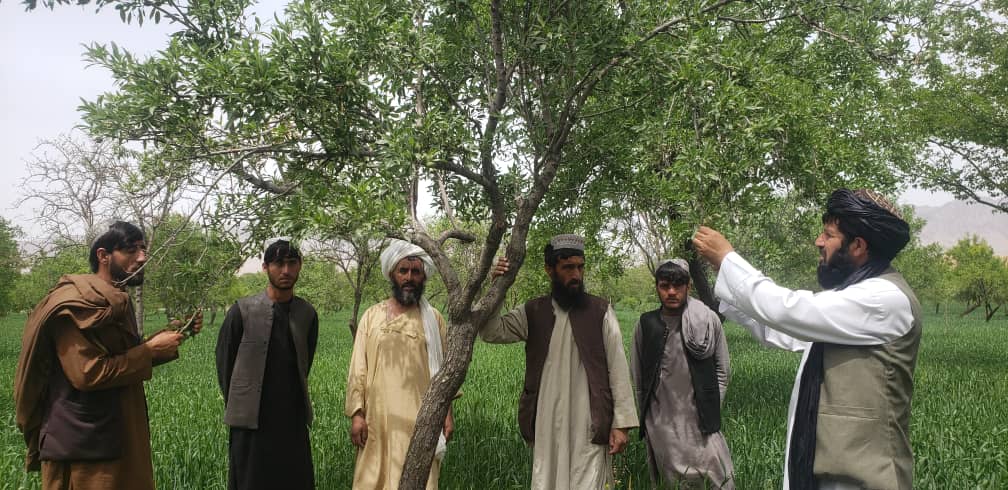 اروزګان کې یوشمېر کروندګر وروزل شول