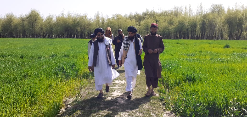 بازدید از فارم سرکاری ولسوالی برکی برک ولایت لوگر 