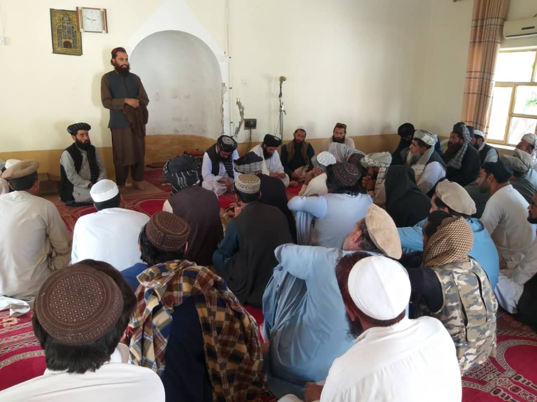 خوست کې د ځنګلونو خوندیتوب په پار هڅې