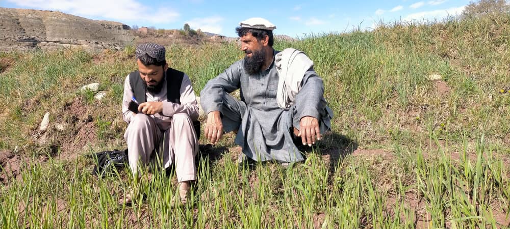 د ننګرهار دوو ولسواليو کې يوشمېر کروندګر وروزل شول