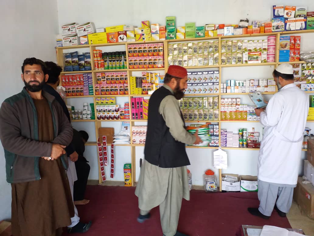 نظارت از فعالیت مراکز سکتور مالداری در ولسوالی بگرامی ولایت کابل