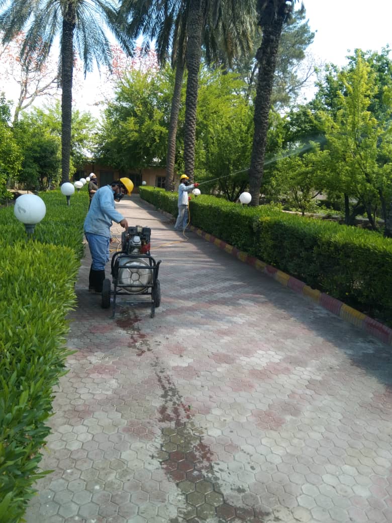 ننګرهار کانال کې د زیتونو بڼونو خوندیتوب په پار هڅې