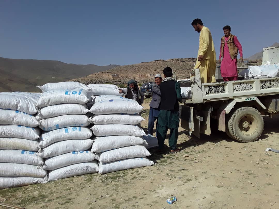 یک هزار ۶۱۲ بوری کنجاره برای مالدارن دایکندی توزیع شد 