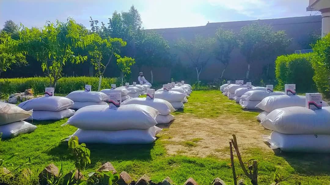 د ننګرهار اچین کې پر ۱۰۰ مالدارانو د څارویو د خوراکي توکي ووېشل شو