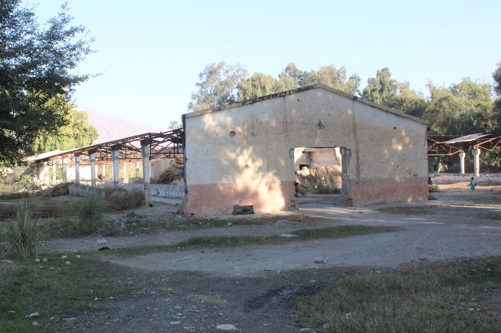 د ننګرهار کانال رياست کې د مالدارۍ دوه فارمونه رغول کېږي