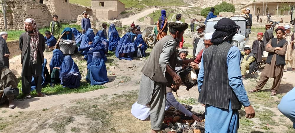 توزیع مرغ‌ تخمی برای ۶۷۰ خانم  بی‌بضاعت در ولایت جوزجان