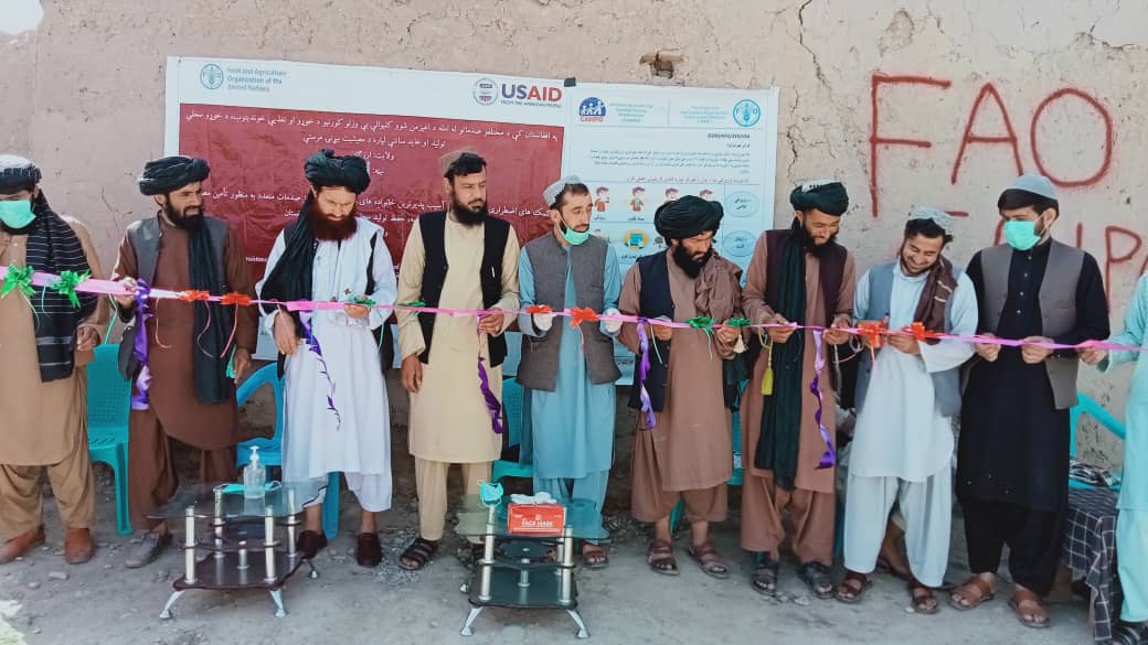 اروزګان کې پر ۹۰۰ مالدارو کورنیو د څارویو خوراکي توکي او نغدې پیسې ووېشل شول