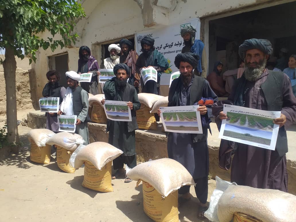 هلمند کې ١١٠ بزګرانو سره د جوارو تخم او کیمیاوی سرو مرستې وشوې