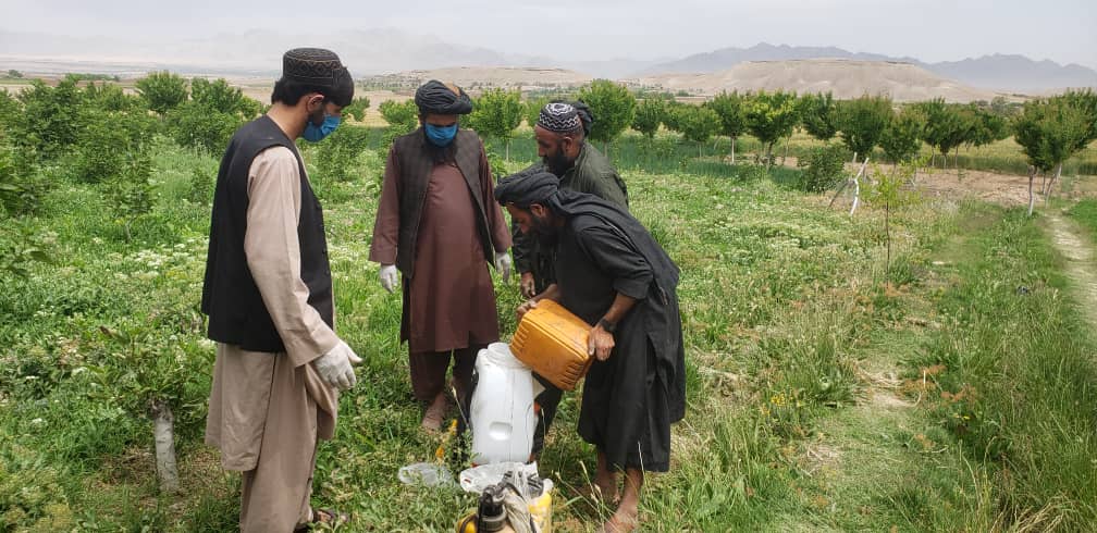 اروزګان کې یوشمېر کروندګر ورزول شول