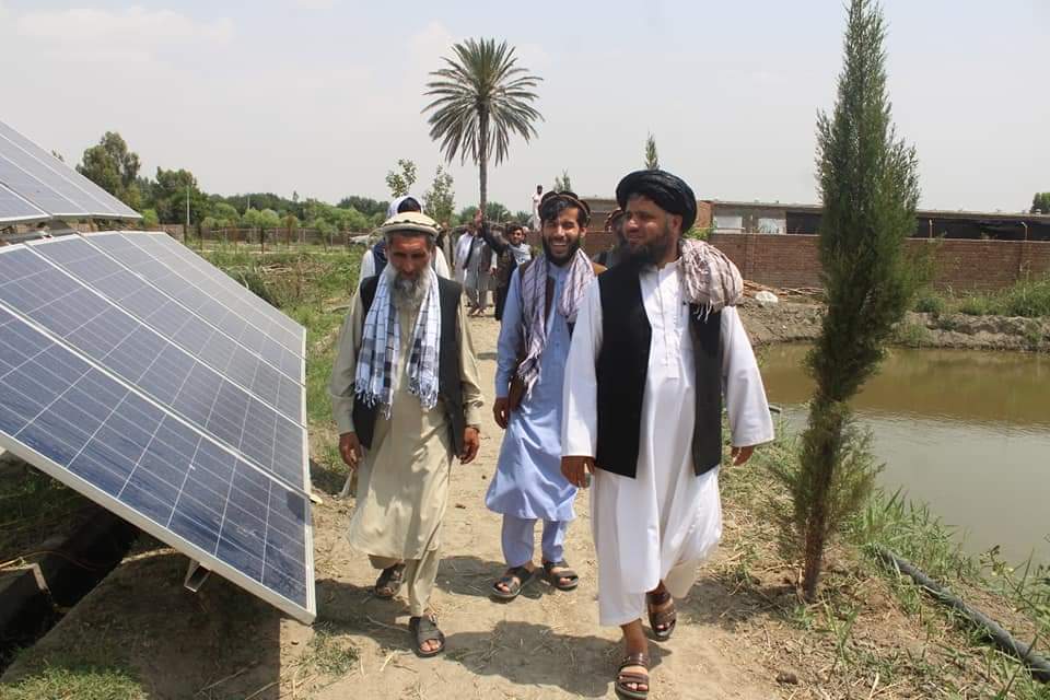 د لغمان د کرنې رییس قرغیو ولسوالی ته د سفر په ترڅ کې د مالدارۍ فارمونو څخه لیدنه وکړه