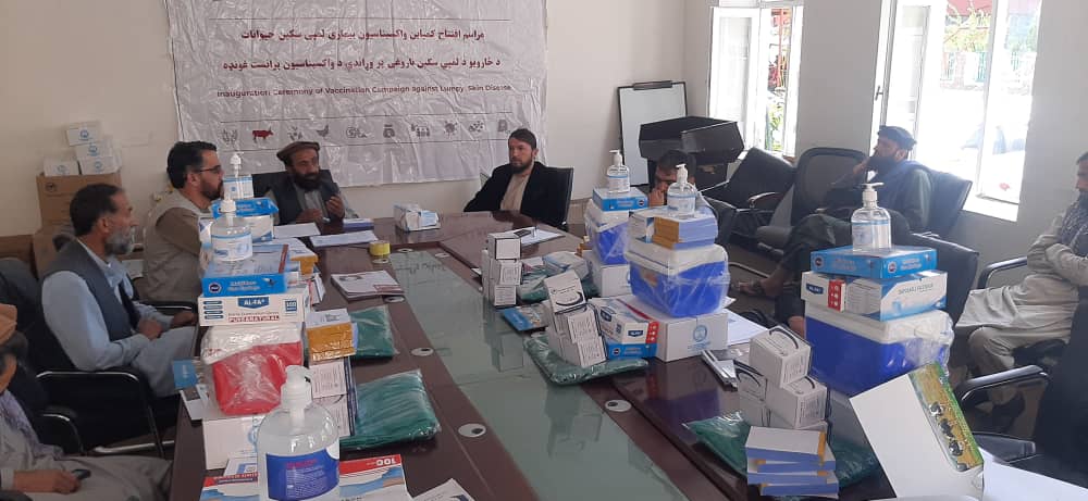 کمپاین واکسین مرض  LSDیا ناهنجاری پوستی حیوانات در ولایت پنجشیر آغاز شد
