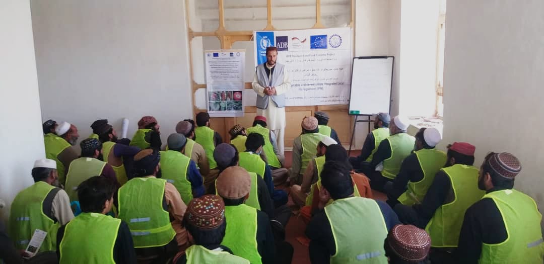 د لوګر دکرنې ریاست: محمد آغې کې د بزکرانو، بڼوالو او مالدارانو روزنه روانه ده