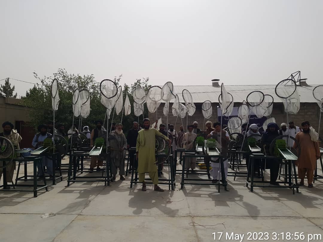 هلمند کې یوشمېر کب روزونکي وروزل شول