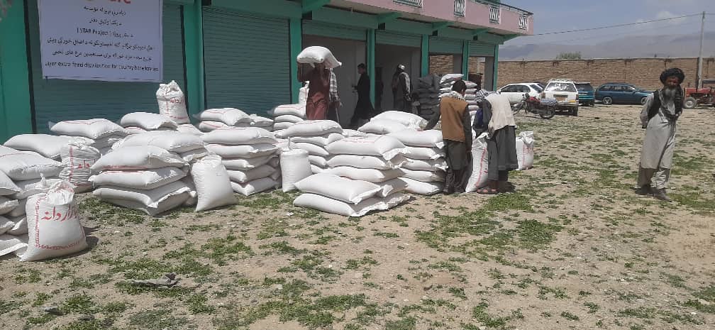 پکتیا کې پر ۳۸ بیوزله کورنيو ته چرګانو خوراکه ووېشل شول