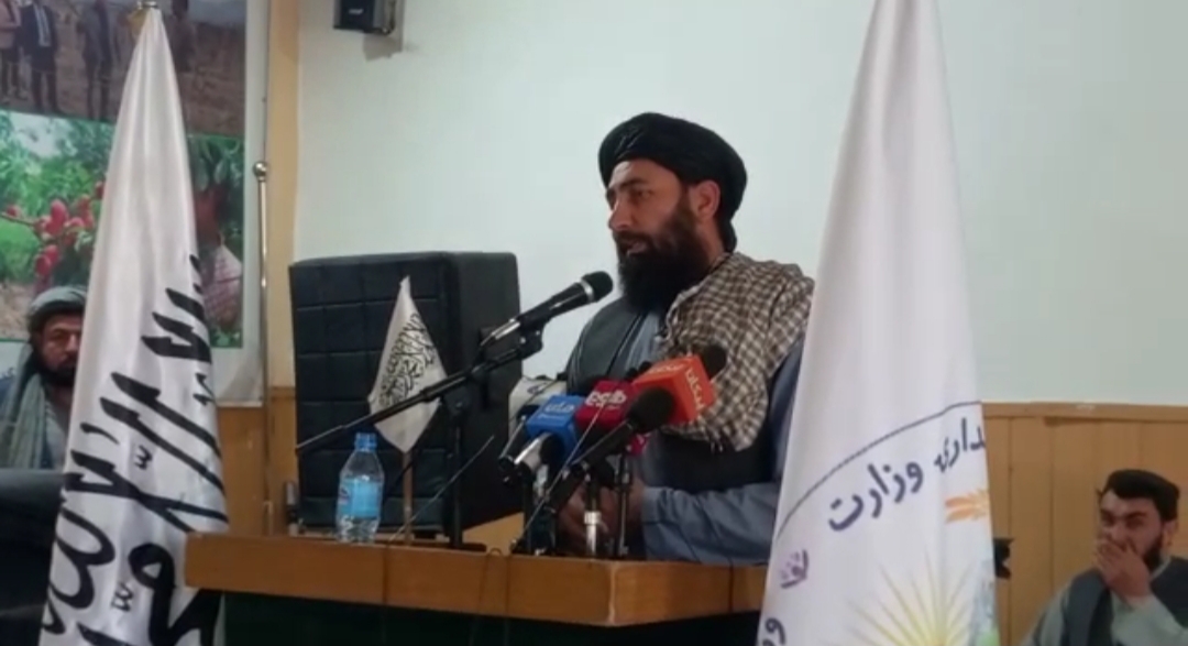دیدار معین زراعت و مالداری با کارمندان ریاست زراعت بلخ