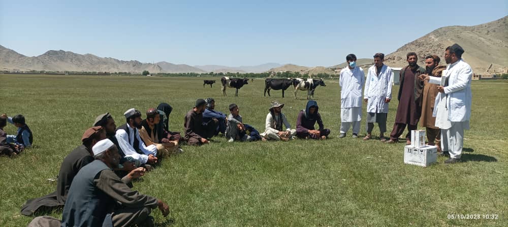 د کابل موسهي کې د څارویو د چنجیو ضد وقایوي کمپاین پیل شوی