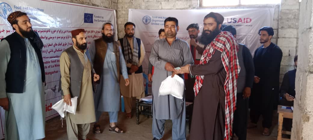 د ننګرهار ۷ ولسوالیو کې ۹۸۰۰ مالدارانو سره نغدې مرستې وشوې