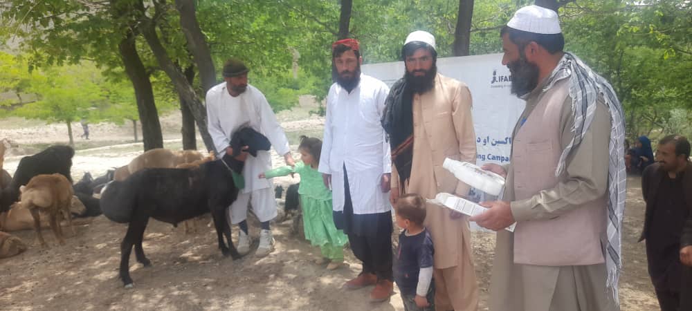 میدان وردګو ولایت کې د مالدارۍ سکټور د خوندیتوب او پراختيا په پار هڅې