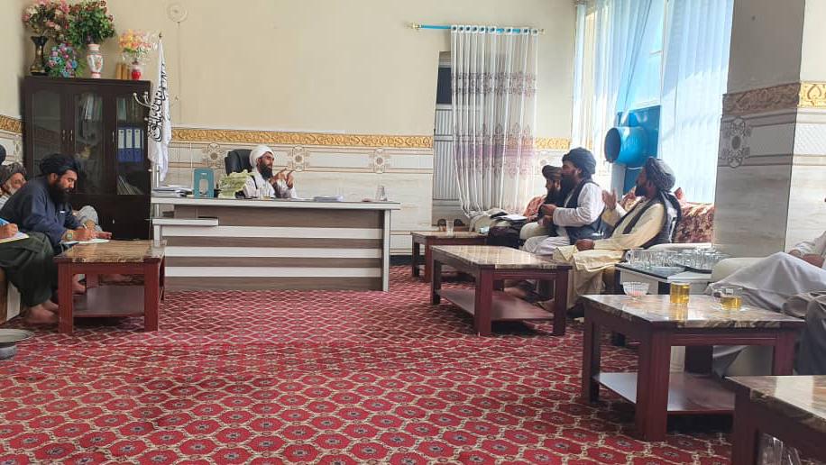 هلمند کې د طبي بوټو د راټولولو قراردادونه لاسلیک شول 