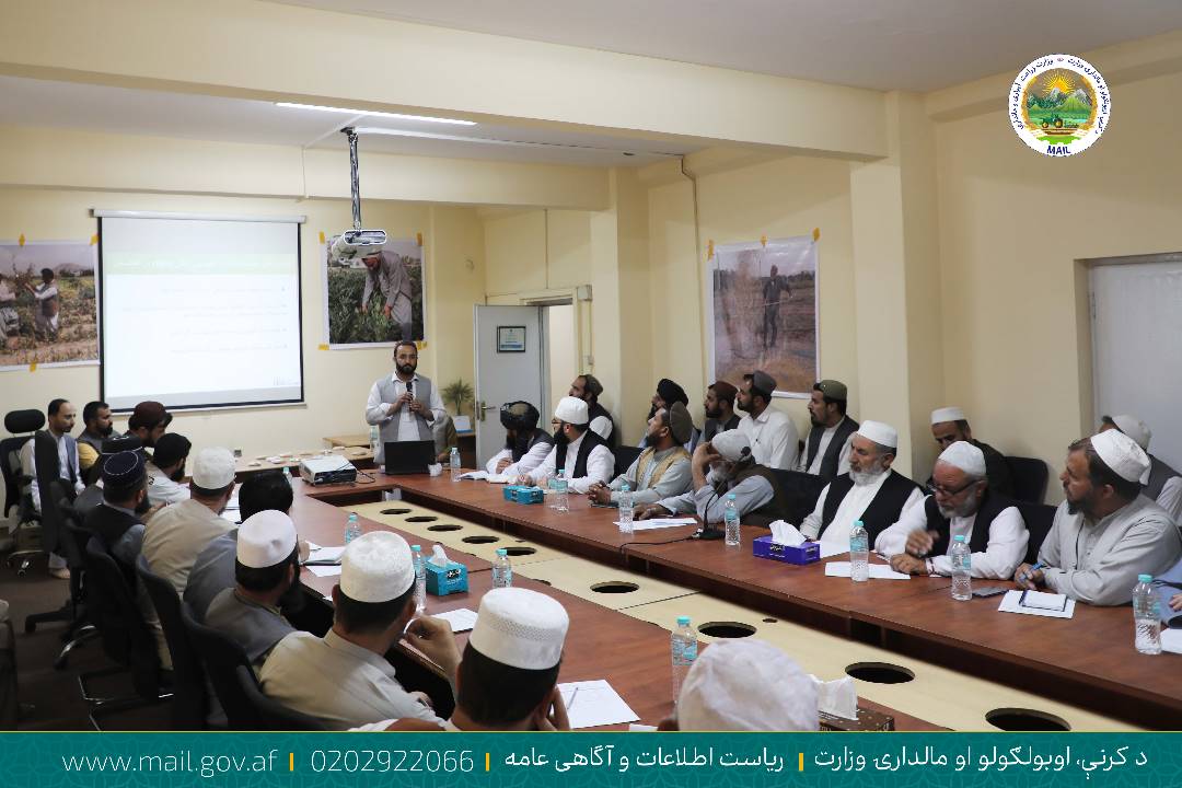 د تغذیې او زده کړې نړیواله مؤسسه دکرنې او مالدارۍ مرستیال ته خپل راپور وړاندې کړه