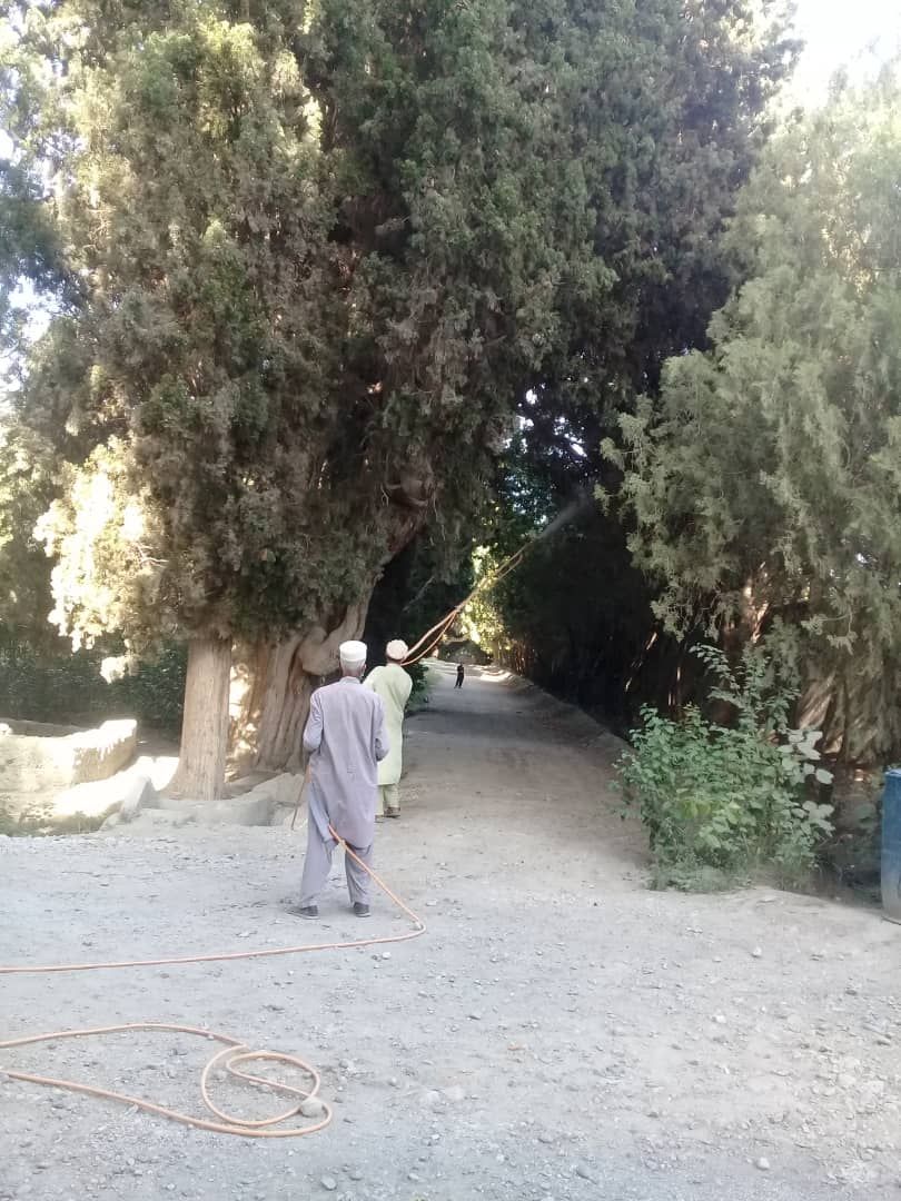 د نملې تاریخي بڼ د ونو خوندیتوب په پار هڅې