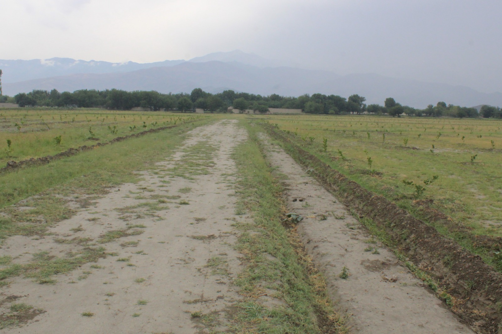 ننګرهار کې پر ۱۳ جریبه ځمکه تفریحي پارک او کلېکسون بڼ جوړېږي