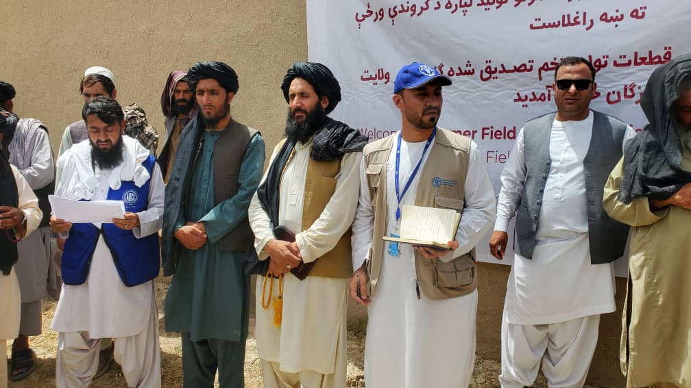 اروزګان کې د غنمو د اصلاح شویو تخمونو د کروندو غوره حاصلات