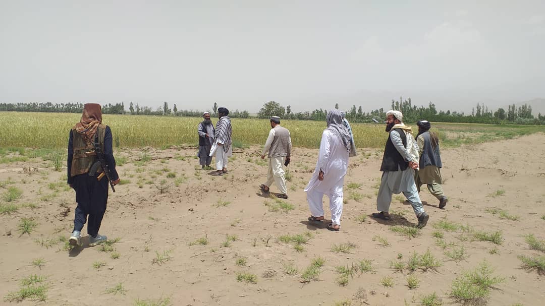 د پکتیا ولایت د غصب مخنیوي او غصب شویو ځمکو د تشخیص او تثبیت تخنیکي پلاوی هلې ځلې