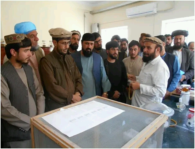 دکرنې وزارت د بوټو ساتنې او قرنطین ریاست کارکوونکي وروزل شول