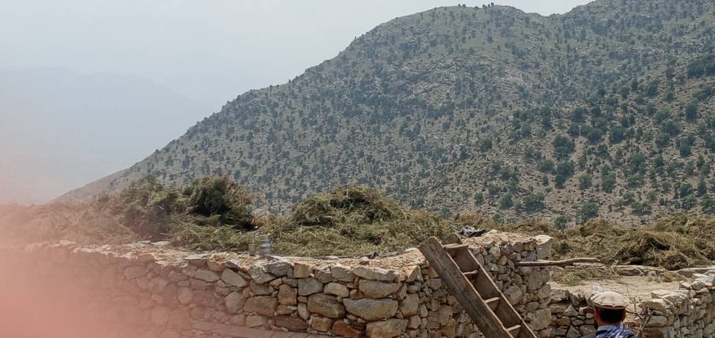 لغمان کې د ځنګلونو خوندیتوب په پار هلې ځلې