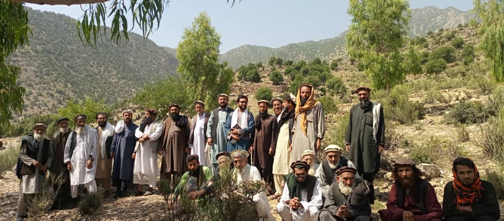 لغمان کې د ځنګلونو خوندیتوب په پار هڅې