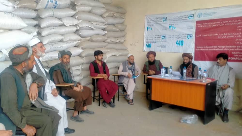 توزیع مواد خوراکه حیوانی و تخم شبدر برای بیش از ۱۱۰۰ مالدار ولسوالی شکر دره  کابل 