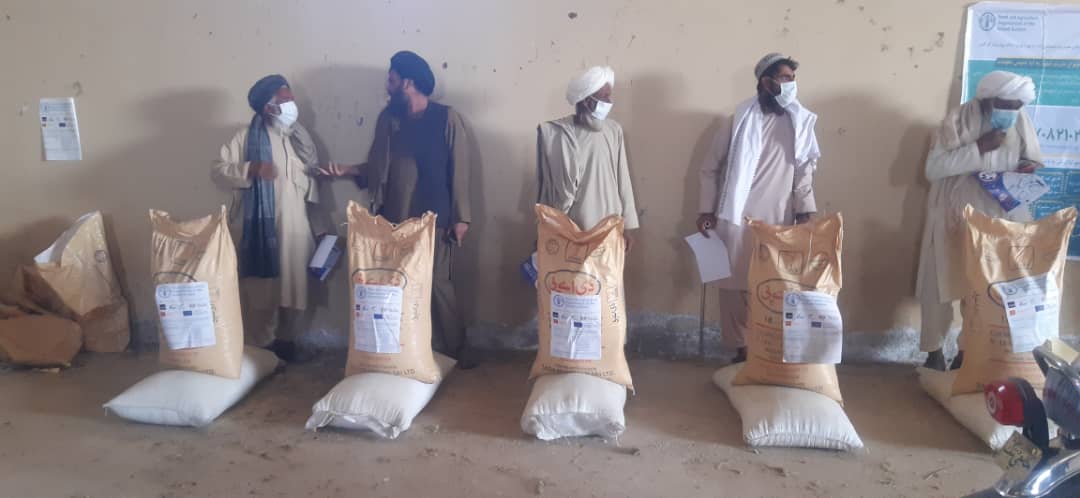 د هلمند نادعلي کې پر سلګونو بزګرانو د کیمیاوي سرو وېش لړۍ پیل شوی