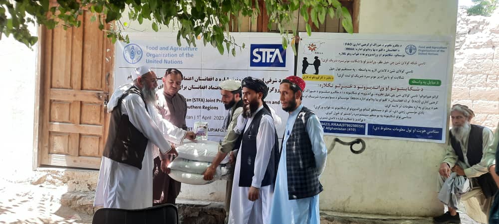 کونړکې د سویابینو کرکیلې ترویج په پار هڅې