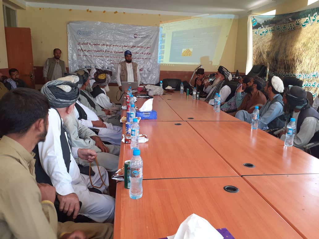 بغلان کې د سویابینو کرکیلي ترویج په پار هڅې؛ پر ۳۳۵ بزګرو د سویابینو تخمونه او کیمیاوي سرې وېشل کېږي