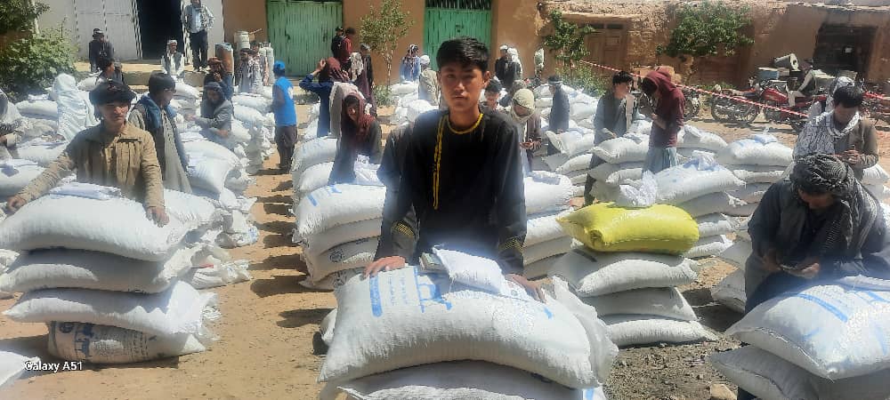 د غزني مالستان کې سلګونو مالدارانو سره مرستې وشوې