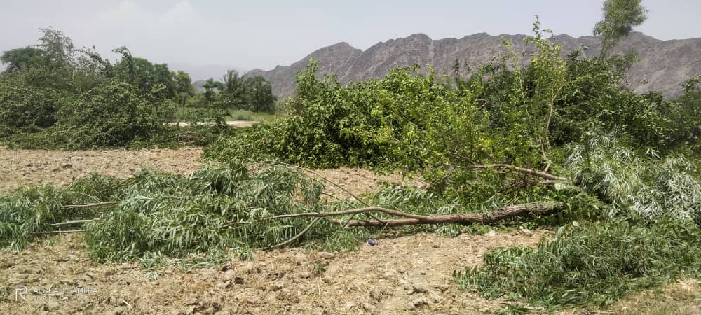 د ننگرهار کانال کې د غصب شویو ځمکو بېرته راګرځولو په پار هڅې