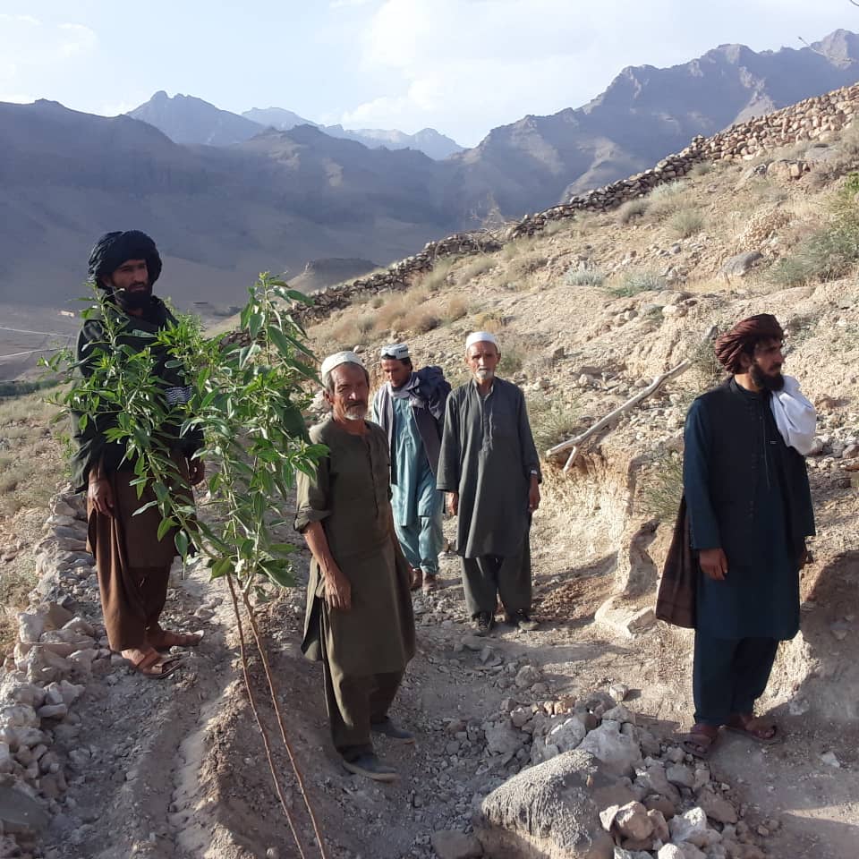جلوگیری از غصب ۲۵ جریب زمین در ولایت دایکندی
