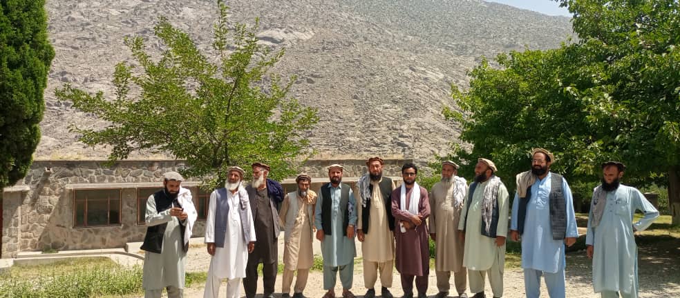 لغمان کې د ځنګلونو خوندیتوب او پراختیا په پار هڅې