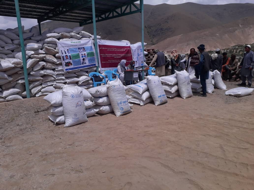 به یک‌هزار مالدار در ولایت دایکندی خوراکه متراکم حیوانی توزیع شد