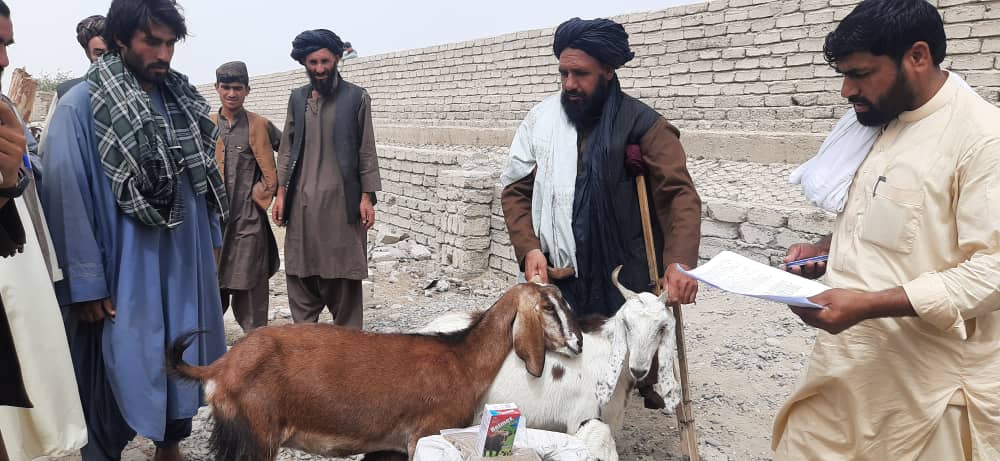 د هلمند ګرشک کې پر ٢٠ کورنیو وزې ووېشل شوې