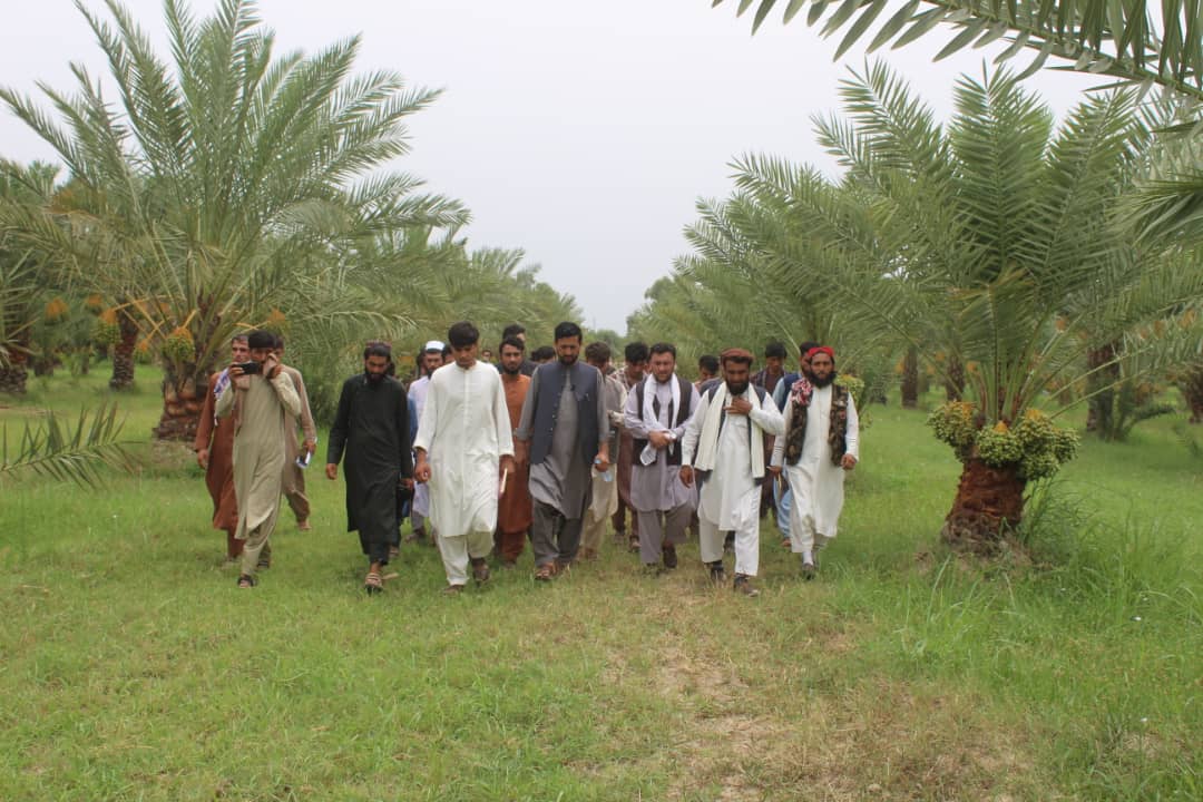 د ننګرهار کانال شرکت کې زده کړیالانو ته د عملي زده کړو زمینه برابره شوې