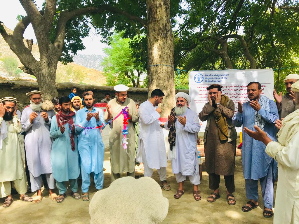 د کونړ دکرنې ریاست: د مرکز په ګډون درې ولسوالیو کې سلګونو کسانو ته د کار زمینه برابره شوې