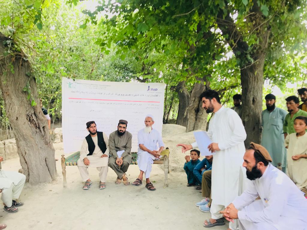 د کونړ نرنګ کې د بېوزله کورنیو د ملاتړ په پار هڅې؛ ۱۰۰ کورنیو ته د چرګانو واړه فارمنه جوړو شول