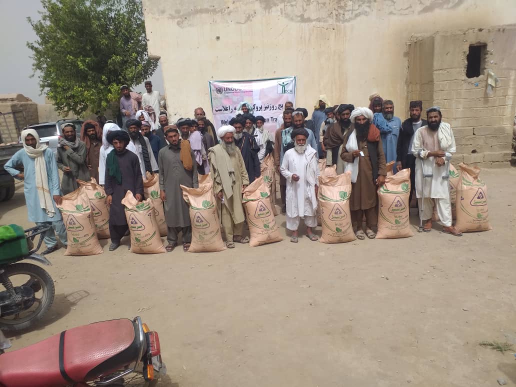 کروندګرو سره د مرستې په دوام مارجه کې پر لسګونو بزګرانو کیمیاوې سرې وېشل شوې