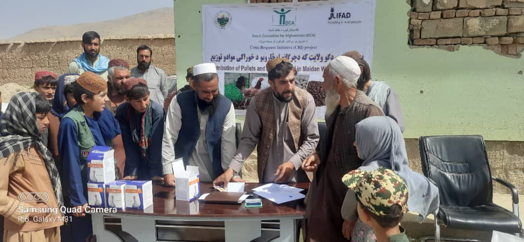 د میدان وردګو نرخ کې ۱۰۰ کورنیو ته د چرګانو واړه فارمنه جوړېږي